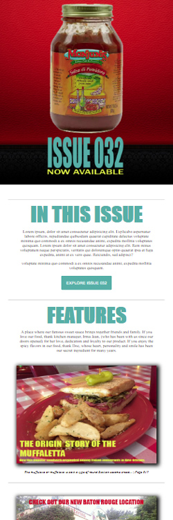 HTML Newsletter Email