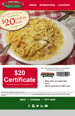 HTML Promotional Email